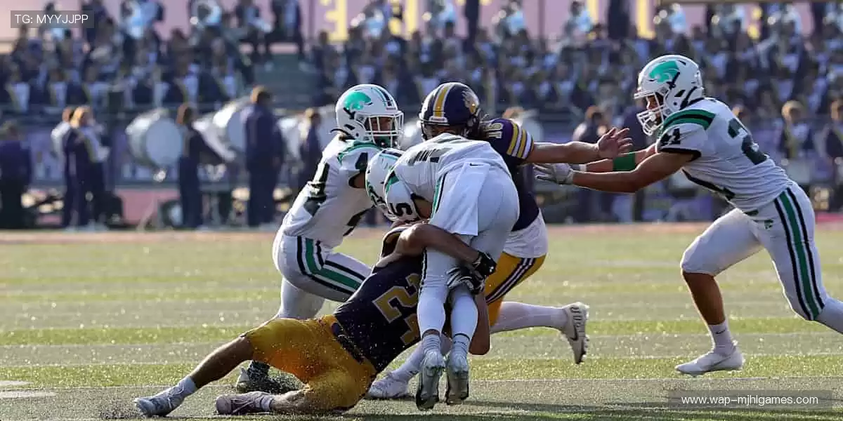 从现场到屏幕，从尖叫到欢呼！🌍🎥 我们始终与你的热爱同频共振！